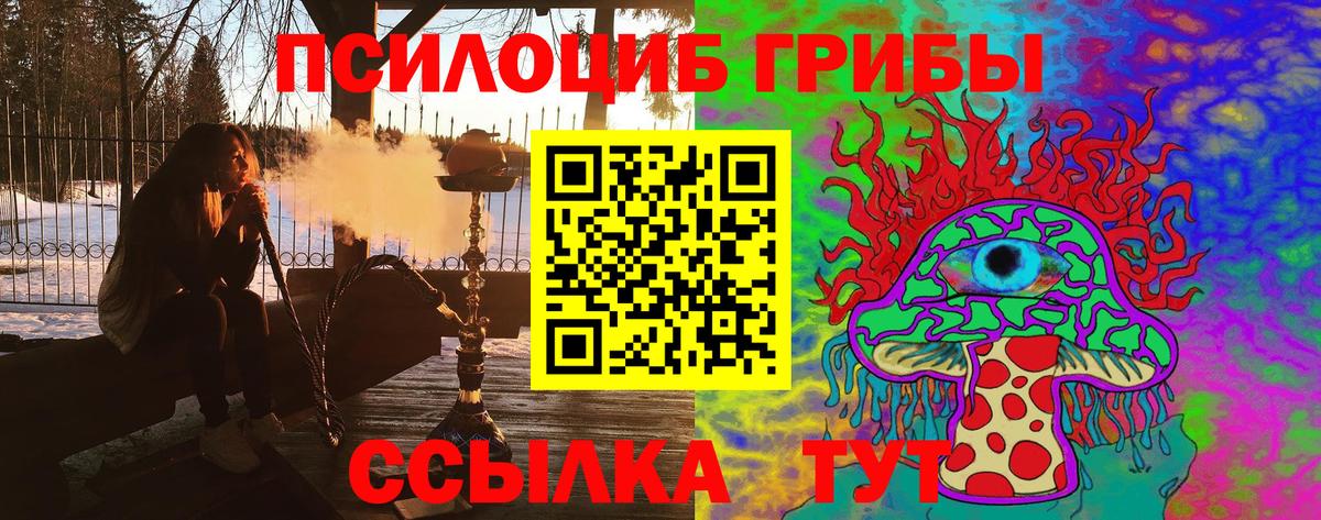 Галлюциногенные грибы Magic Shrooms Ставрополь