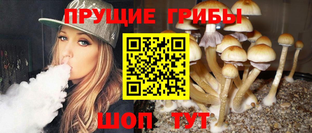 Галлюциногенные грибы Magic Shrooms  Вход с VPN  Ставрополь  Галлюциногенные грибы мухоморы 